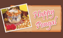 pongal happy pongal wishing you a hppy pongal