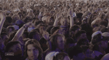 Excited Coachella GIF - Excited Coachella Jumping GIFs