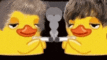 Louis Oli Smoking Ducks GIF - Louis Oli Smoking Ducks Louis Oli Ducks GIFs