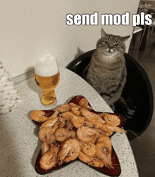 Cat Mod GIF - Cat Mod GIFs
