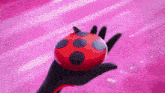 a person is holding a red ball with black polka dots on it .