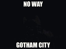 Nesoberi Batman GIF