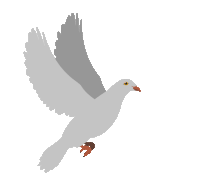 Pigeon Dove Sticker - Pigeon Dove Flying Bird Stickers