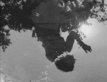a black and white photo of a person swimming in a puddle .