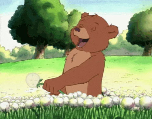 Little Bear GIFs | Tenor Little Bear GIFs | Tenor