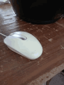 Computer Mouse GIF Computer Mouse Discover Share GIFs