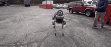 Robot Dog Kick GIF - Robot Dog Kick Run GIFs