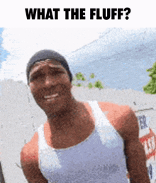What The Fluff Wtf GIF - What The Fluff Wtf Meme GIFs