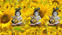 Jai Sh Krishna Sunflower GIF - Jai Sh Krishna Sunflower Flowers GIFs