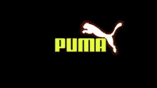 Puma GIF