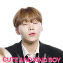 Cute And Kind Boy Seungkwan Sticker - Cute And Kind Boy Seungkwan Cute Boy Stickers