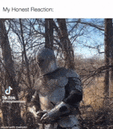 My Honest Reaction Knight GIF - My Honest Reaction Knight Luxury GIFs