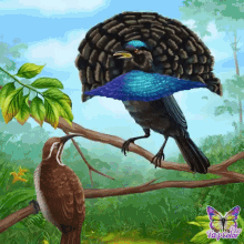Bird Birdofparadise GIF - Bird Birdofparadise GIFs
