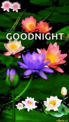Goodnight Flowers GIF - Goodnight Flowers Sparkles GIFs