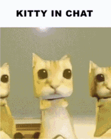 Kittyinchat Kittysolos GIF - Kittyinchat Kitty In GIFs