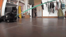 La Flemme GIF - Drag Cat Floor GIFs