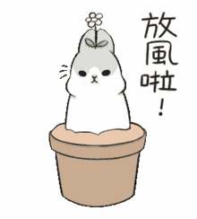 machiko rabbit cute bunny animated
