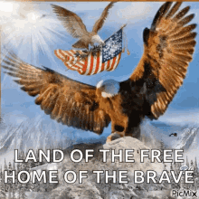 eagles america usa sparkles land of the free