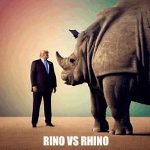 Rino Rino Vs Rhino GIF - Rino Rino Vs Rhino Criminal GIFs