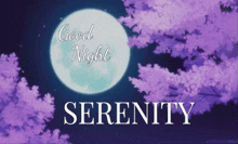 Goodnight Serenity GIF - Goodnight Serenity Sleeping GIFs