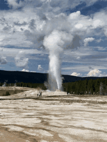 Yellowstone GIF - Yellowstone GIFs