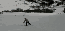Ski Caida GIF - Ski Caida Nieve GIFs