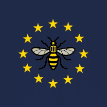 Manchester For Europe Bumble Bee GIF - Manchester For Europe Bumble Bee GIFs