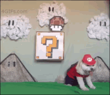 Super Mario Dog GIF - Dogs Mushroom Supermario GIFs