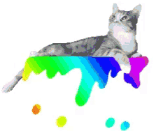 3d rainbow cat look up thinking