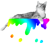 3d Rainbow Sticker - 3d Rainbow Cat Stickers