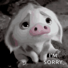 Im Sorry Cartoon GIF - Im Sorry Cartoon Pig GIFs