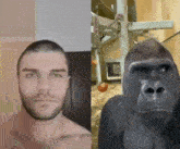 a picture of a man next to a picture of a gorilla with the caption time / people / les / greetings