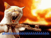 Cat Gun GIF - Cat Gun GIFs