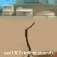 Sex1002 GIF - Sex1002 GIFs