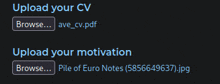 a screenshot of a page that says " upload your cv " and " upload your motivation "