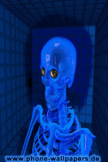 Skeleton Spooky GIF - Skeleton Spooky Danger GIFs