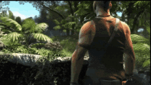 vaas farcry3 farcry insanity