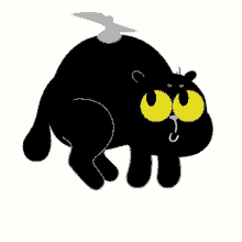 dadafly fan black cat