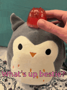 a stuffed animal with a gummy bear on top of it and the words what 's up bestie on the bottom