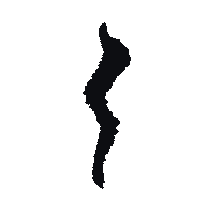 a black silhouette of a person standing on a white background .
