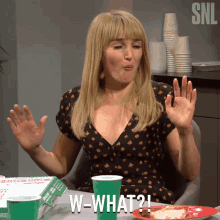 What Saturday Night Live GIF - What Saturday Night Live Surprised GIFs