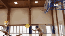 Dogecoin Basketball GIF - Dogecoin Basketball Oscar GIFs