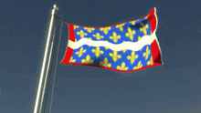 a red white and blue flag with yellow fleur de lis