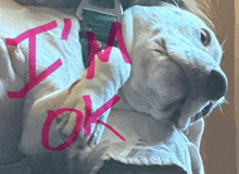 a dog is laying down with the word ok written on it