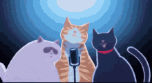 Cat Singing GIF