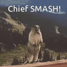 a ground squirrel standing on its hind legs with the words chief smash behind it