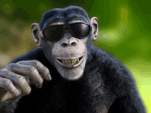 Cheeky Chimp GIF - Cheeky Chimp GIFs