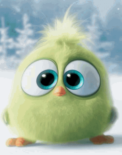 Cute Adorable GIF Cute Adorable Angry Bird Discover & Share GIFs