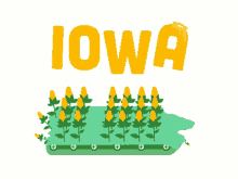 Iowa Corn GIF - Iowa Corn Corn Production GIFs