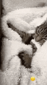 Cocooning Snuggle GIF - Cocooning Cocoon Snuggle GIFs